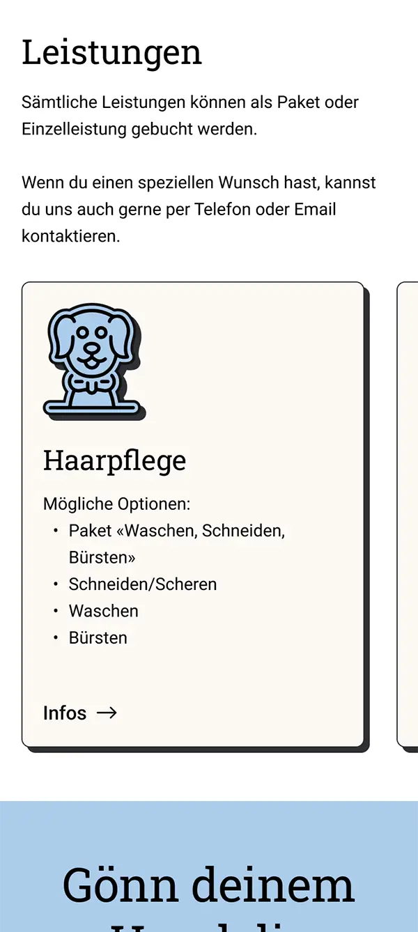 Screenshot Seite "Home", Startseite Leistungsboxen abgebildet