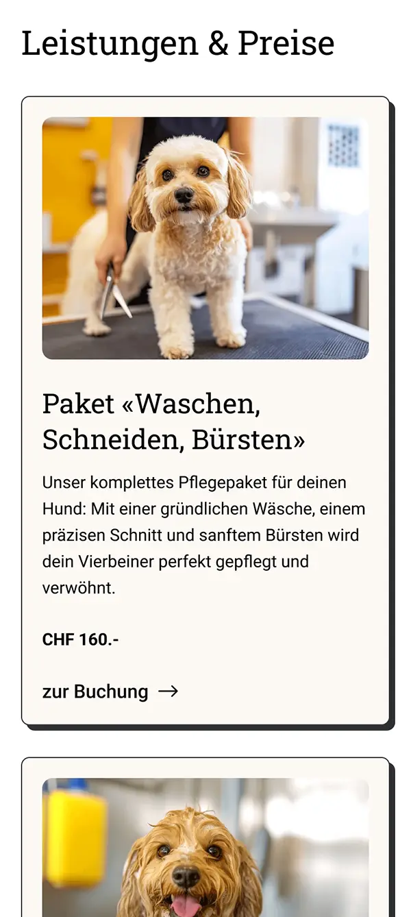 Screenshot Seite "Leistungen" mit Preisen und Paketen