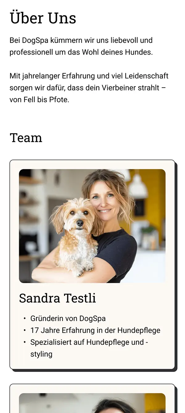 Screenshot Mobile, Seite "Über Uns"