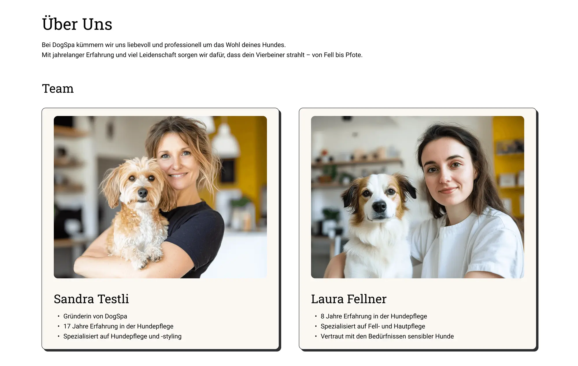 Screenshot Startseite, "Über Uns" Sektion.