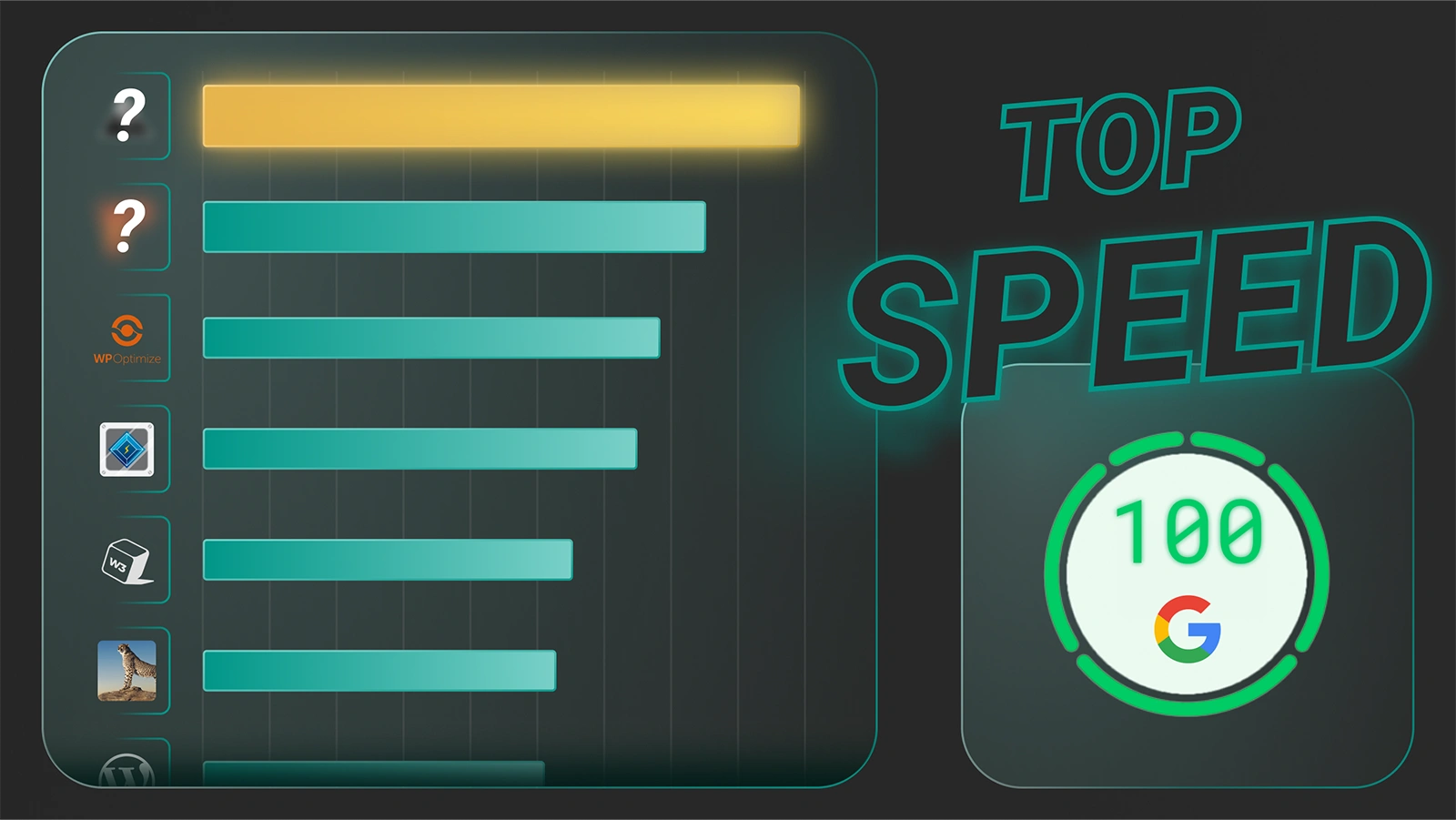 Das BESTE WordPress Caching Plugin 2025